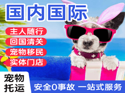 忻州航空快递国际宠物托运 【国